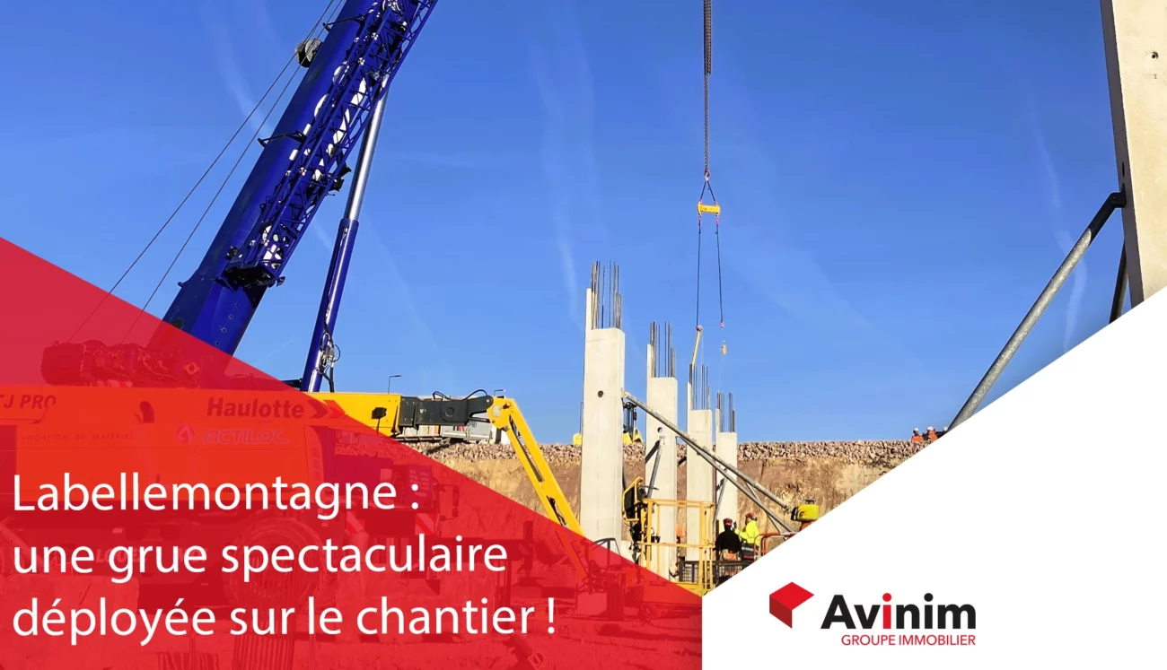 LAbellemontagne Grue